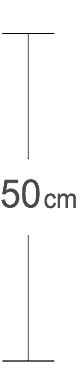 50 センチメートル