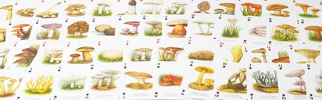 The Famous Mushrooms Playingcards