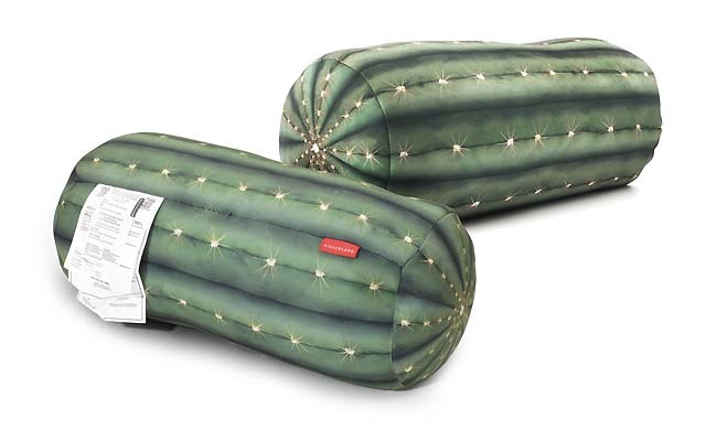 Cactus Pillow KTT34