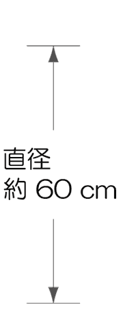直径 60 cm
