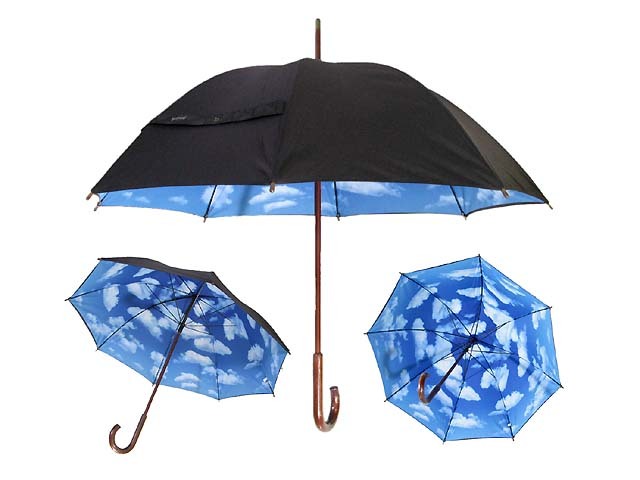 MoMA スカイアンブレラ 長傘 | apparel,GOODS,・ Umbrella | RINKY DINK