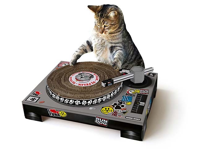  Cat Scratch DJ