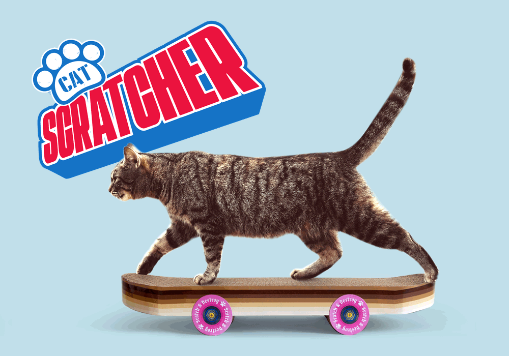  Cat Scratch Skateboard