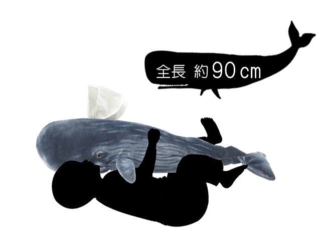 抱き枕に最適、90cm抹香鯨のティッシュケース