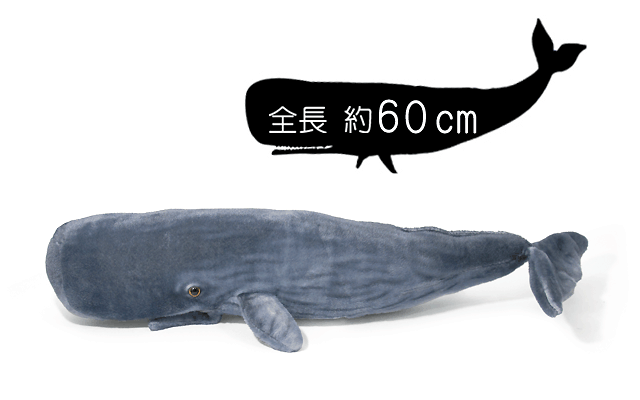 全長 60cm抹香鯨のプラッシュ